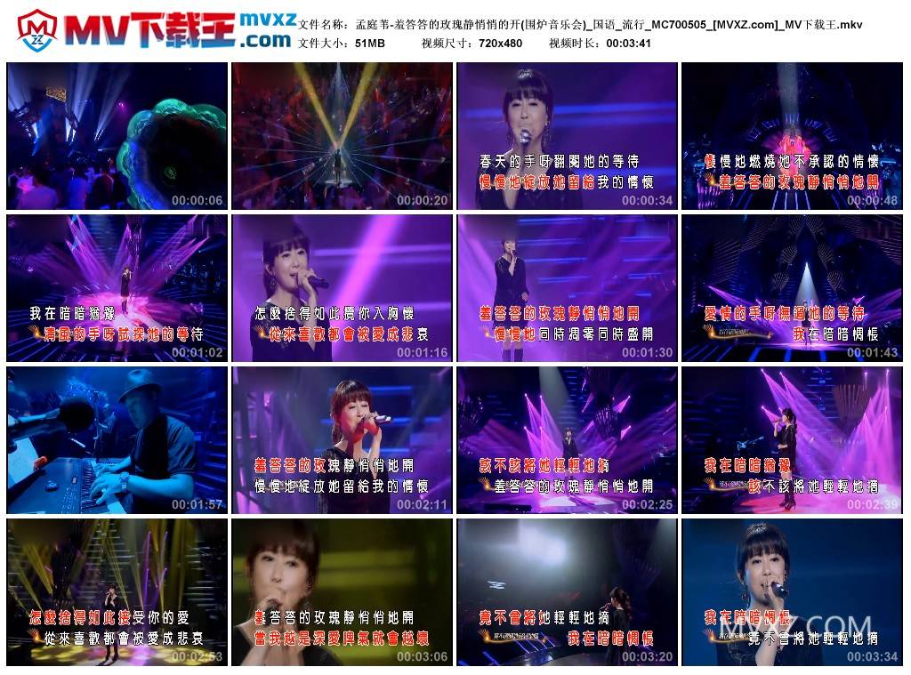 孟庭苇-羞答答的玫瑰静悄悄的开(围炉音乐会)_国语_流行_MC700505